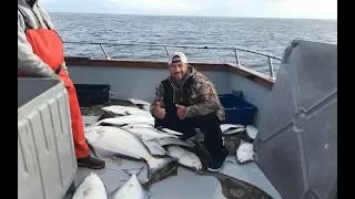 Fishing for halibut in Homer Alaska. Part One.