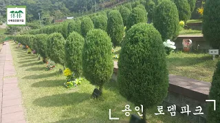 용인 로뎀파크 수목장