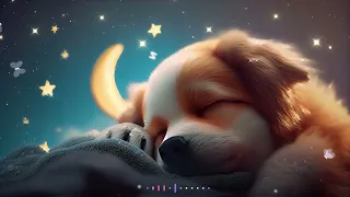 Soft Music for Babies with Cute Puppies #726 Baby Sleep Music, Lullaby for Babies to go to Sleep