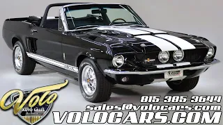 1967 Ford Mustang Shelby Tribute for sale at Volo Auto Museum (V19815)