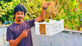 Amazing idea to Make Birds Travel Cage Using Apple Box | Easy Birds Cage idea