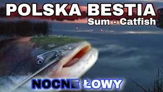 Sum - Catfish Bestie Polskich Wód Polują Nawet Na Ptaki! PIERWSZA NOCKA NA RYBACH? Do 3 razy sztuka.