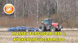 Tillage 2020 | Massey Ferguson 8737 & Köckerling Vector 800 stubble harrow