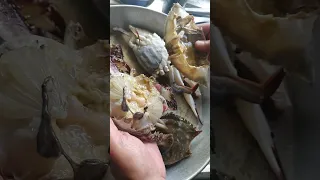 Cleaning Crabs