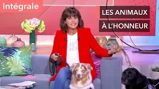 Mon animal, ma plus belle rencontre ! - Ça commence aujourd'hui