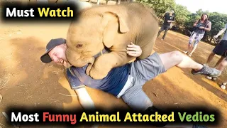 Best Funny Videos 🤣 - People Being Idiots | 😂 Try Not To Laugh - BY FunnyTime99 🏖️ #funny