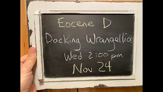 Eocene D - Docking Wrangellia w/ Basil Tikoff