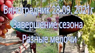 Виноградник 28 09 2021 г Завершение сезона Разные мелочи