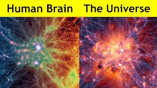 Human Brain vs The Universe!