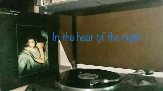 SANDRA - IN THE HEAT OF THE NIGHT by Lp vinyl “ten on one ( the singles)” Greek version 1987