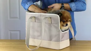 Oskar&Friends | Stylish Dog Carrier Purse for small dogs and cats