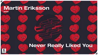 Martin Eriksson - Never Really Liked You (Official Audio)