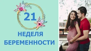 21 Неделя Беременности. Развитие плода и ощущения мамы