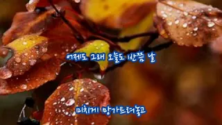 MC THE MAX ⭐바라보기(가사첨부)