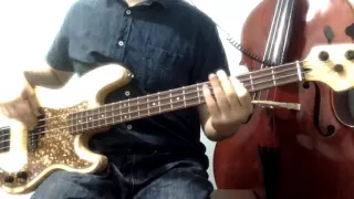 Into The Groove - Madonna | Bass Cover