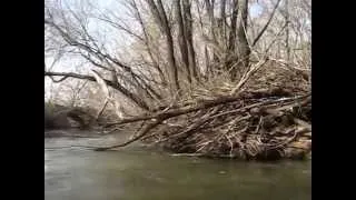 Хупта и Ранова. Апрель.