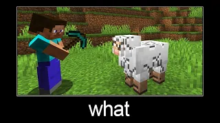 Minecraft wait what meme part 173 (breaking a sheep)