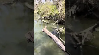 Pooh Sticks Demo