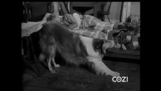 Lassie - Episode #58 - "Domino" - Season 2, Ep 32 - 4/15/1956