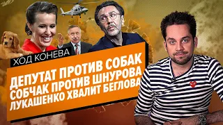 СОБЧАК ПОССОРИЛАСЬ СО ШНУРОМ / ЛУКАШЕНКО И БЕГЛОВ / ДЕПУТАТ ПРОТИВ СОБАК (Ход Конева)