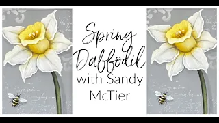 Spring Daffodil