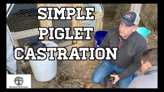 DIY Pig Castration - No Expensive Vet Bill