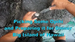 Picking Some Opihi and Preparing it for Dinner - Big Island of Hawaii