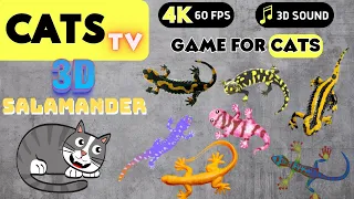 GAME FOR CATS - Realistic Salamander 🦎 3 HOURS [CATS TV]