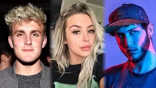 YouTubers Give SHOCKED Reactions to Shane's 'The Mind of Jake Paul' Docuseries