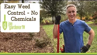 Easy Weed Control Without Chemicals