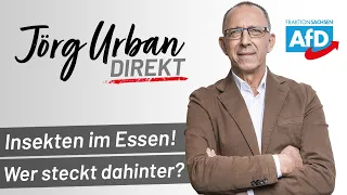 Insekten im Essen - Wer steckt dahinter? | Jörg Urban Direkt