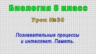 Биология 8 класс (Урок№30 - Познавательные процессы и интеллект. Память.)