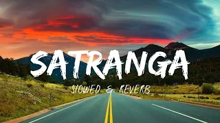 Satranga (Slowed + Reverb) | Arijit Singh | Lofi | Animal | Lofi Mix | Tonight Music