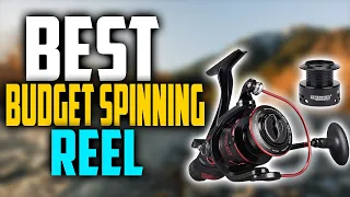 ✅Top 5:Best Budget Spinning Reel In 2023 🎣 [Best Affordable Spinning Reel ]