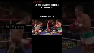 JORGE LINARES HANDS + COMBOS - Mix Fighting