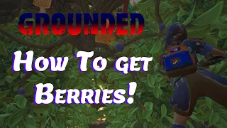 How To EASILY get Berries! | Grounded