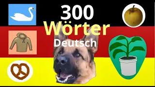 300 Deutsch Wörter für Anfänger