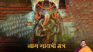 #video | Naag Gayatri #mantra  108 Times Lyrics  ( नाग गायत्री मंत्र ) - डॉ समीर त्रिपाठी