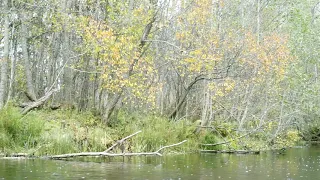 Осенний сплав по рекам Тверской области. Часть 1.