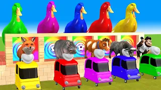 Paint & Animals Duck,Gorilla,Lion,Elephant,Cow,Sheep Fountain Crossing Transformation Animal Cartoon