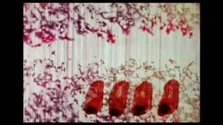 Norman McLaren - A Phantasy in Colors