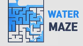 Water Maze