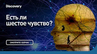 Есть ли шестое чувство? | Сквозь кротовую нору с Морганом Фрименом | Discovery