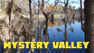 Mystery Valley - Come explore earth cracks, sinkholes, and creepy algae covered trees.