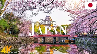 Spring Japan 4K Ultra HD • Stunning Footage Japan, Scenic Relaxation Film with Calming Music.