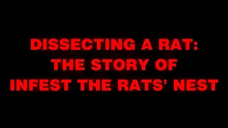 Dissecting A Rat: The Story of Infest The Rats' Nest | ThisIs ReadyMade