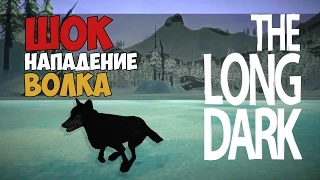 The Long Dark - Нападение Волка (ШОК) #4