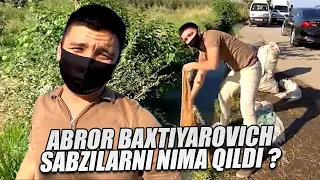 BUGUN MANI GALIM 😂😂😂 40-SON | Abror Baxtiyarovich sabzilarni nima qildi ?