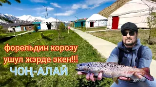 БАЛЫК ЧАРБА 🐟 / ЧОН-АЛАЙ / Сулайман Жанботоев