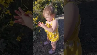 BB looks at flowers after her 1st hike 14 months